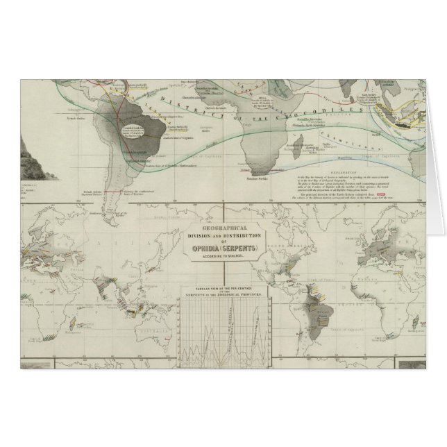 オフィディア・レプティリア (正面横)