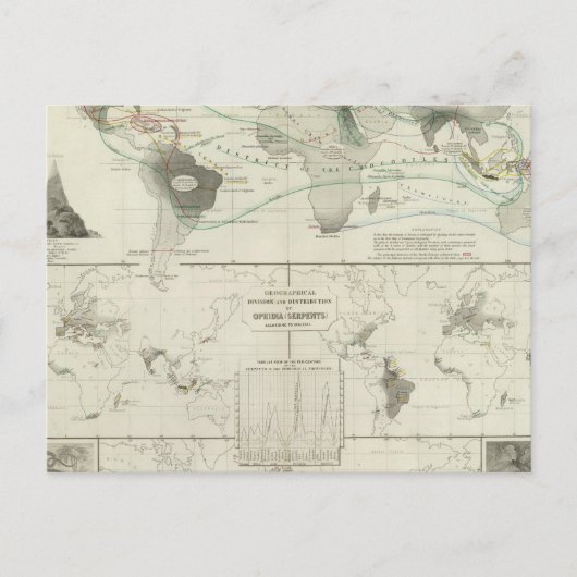 オフィディア・レプティリア ポストカード (正面)