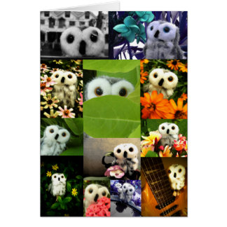 オフェリアと示されるフクロウ