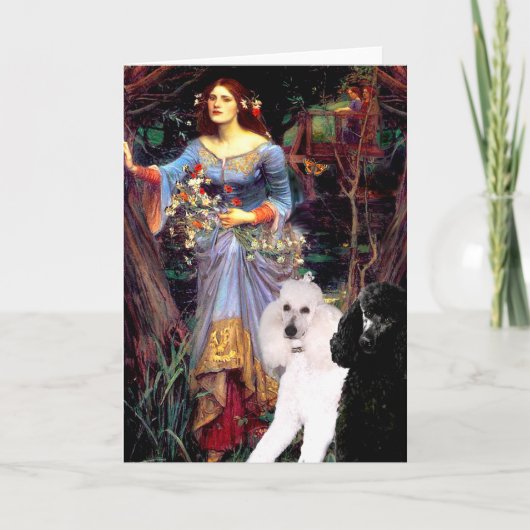 オフェリア（ウッズ）-2標準プードル カード (正面)