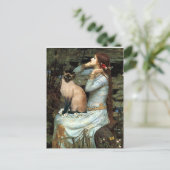 オフェリア – シールポイントシャメネコ ポストカード (スタンド正面)