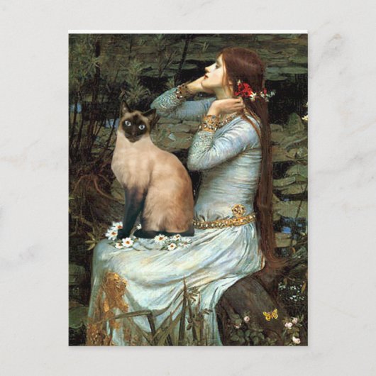 オフェリア – シールポイントシャメネコ ポストカード (正面)