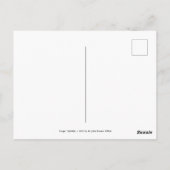 オフェリアc.1852年Sir John Everett Millais著 ポストカード (裏面)