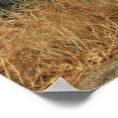 オフザロードキングスキャニオン ポスター (角)