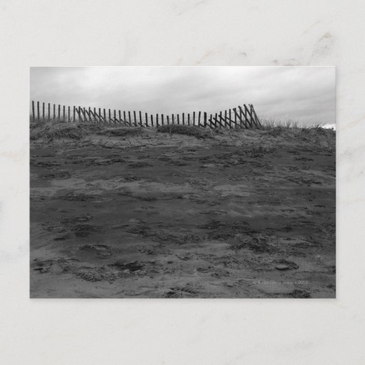 オフシーズン ポストカード (正面)