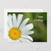 オフセットデイジーハッピーバースデーはがき ポストカード (正面/裏面)