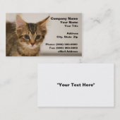 オフホワイトの背景に対するかわいい子ネコ 名刺 (正面/裏面)