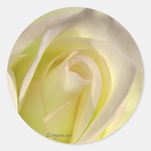 オフホワイトバラシール封筒クロージャ ラウンドシール (正面)