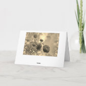 オフリチゲアンテイルナーム – mit rote Rosen カード (裏面)