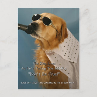 オフリ救ーシュドッグ歩く下院議員 ポストカード