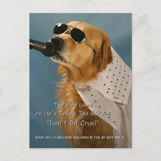 オフリ救ーシュドッグ歩く下院議員 ポストカード (正面)