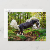 「オフ表示」 ポストカード (正面/裏面)