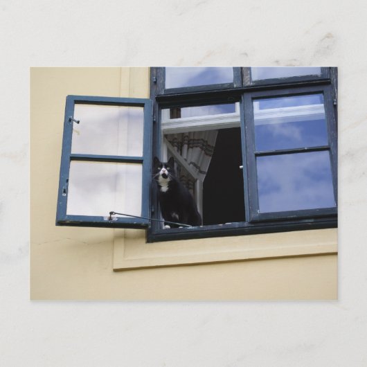 オブザーバー ポストカード (正面)