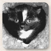 オブザーバ静かコースター コースター (正面)