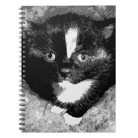 オブザーバ静かスパイラルノート ノートブック (正面)