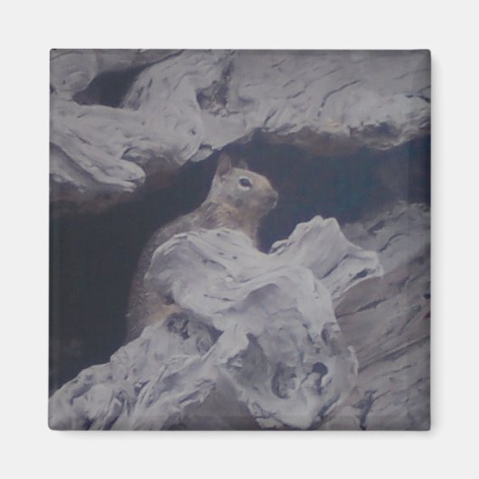 オブザーバ静かマグネット マグネット (正面)