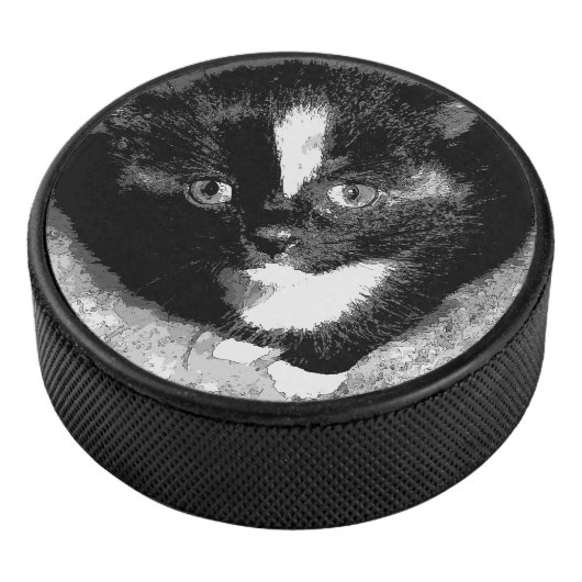 オブザーバ静かー アイスホッケーパック (3/4)