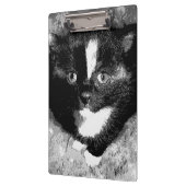 オブザーバ静かー クリップボード (左)