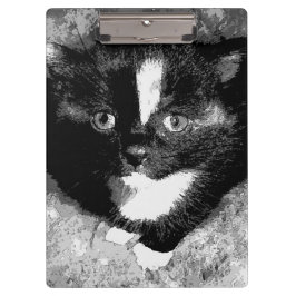 オブザーバ静かー クリップボード