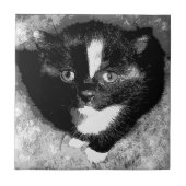 オブザーバ静かー タイル (正面)