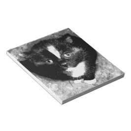 オブザーバ静かー ノートパッド