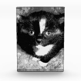 オブザーバ静かー フォトブロック