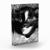 オブザーバ静かー フォトブロック (左)