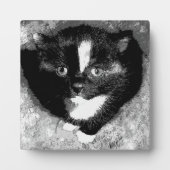 オブザーバ静かー フォトプラーク (正面)