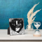 オブザーバ静かー フォトプラーク (インサイチュ)