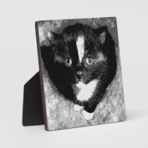 オブザーバ静かー