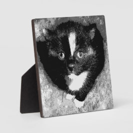 オブザーバ静かー フォトプラーク