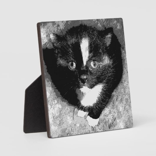 オブザーバ静かー フォトプラーク (正面)