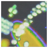 オブリビオン·ブリス ファブリック (クローズアップ)