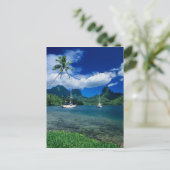 オプノフー湾に停泊するプライベートヨット ポストカード (スタンド正面)