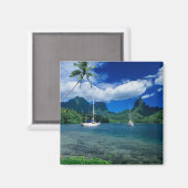 オプノフー湾に停泊するプライベートヨット マグネット (正面/裏面)