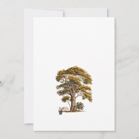 オベビージャングル男女兼用ベイビーシャワー 招待状 (裏面)