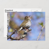 オベンバード ポストカード (正面/裏面)