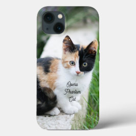 オペラの幻影猫 iPhone 13ケース
