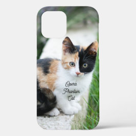 オペラの幻影猫 iPhone 12ケース