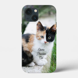 オペラの幻影猫 iPhone 13 MINIケース