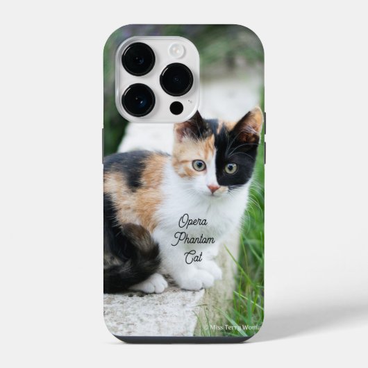オペラの幻影猫 iPhoneケース (裏面)