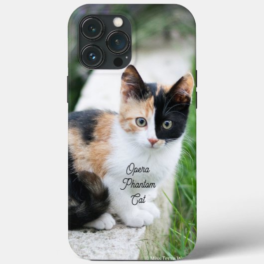 オペラの怪猫 Case-Mate iPhoneケース (裏面)