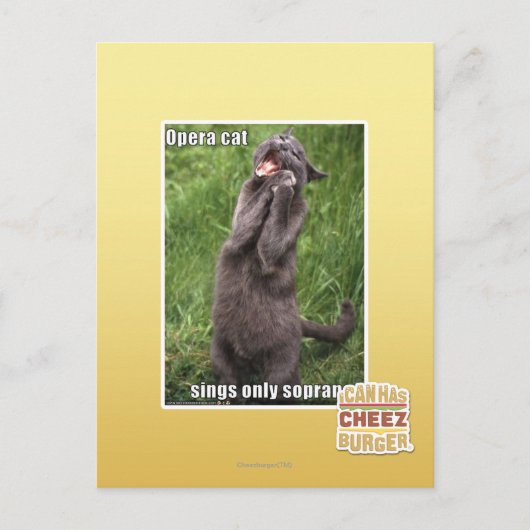 オペラキャット ポストカード (正面)