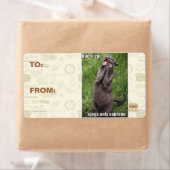 オペラキャット ラベル (インサイチュ)