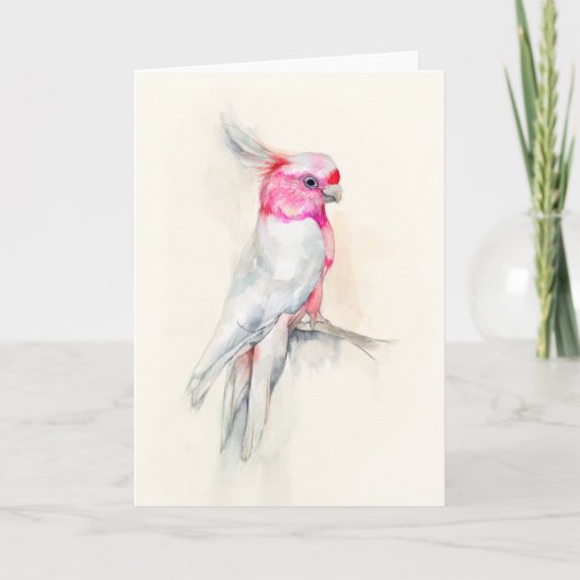 オペラコッカトゥー カード (正面)