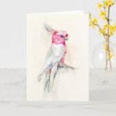 オペラコッカトゥー カード (黄色い花)