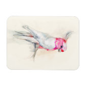 オペラコッカトゥー マグネット (横)