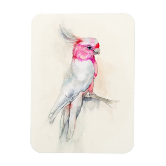 オペラコッカトゥー マグネット (縦)