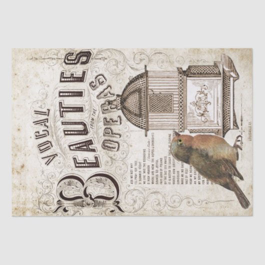 オペラソング音楽ロビンバードバードケージのデコパージュ 薄葉紙 (正面)