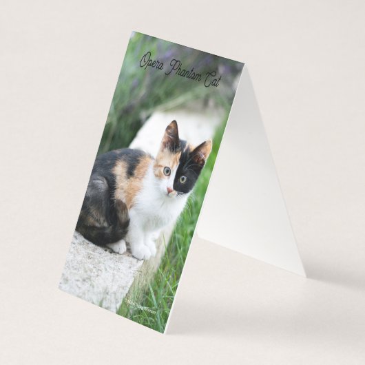 オペラファントム猫 (裏面)